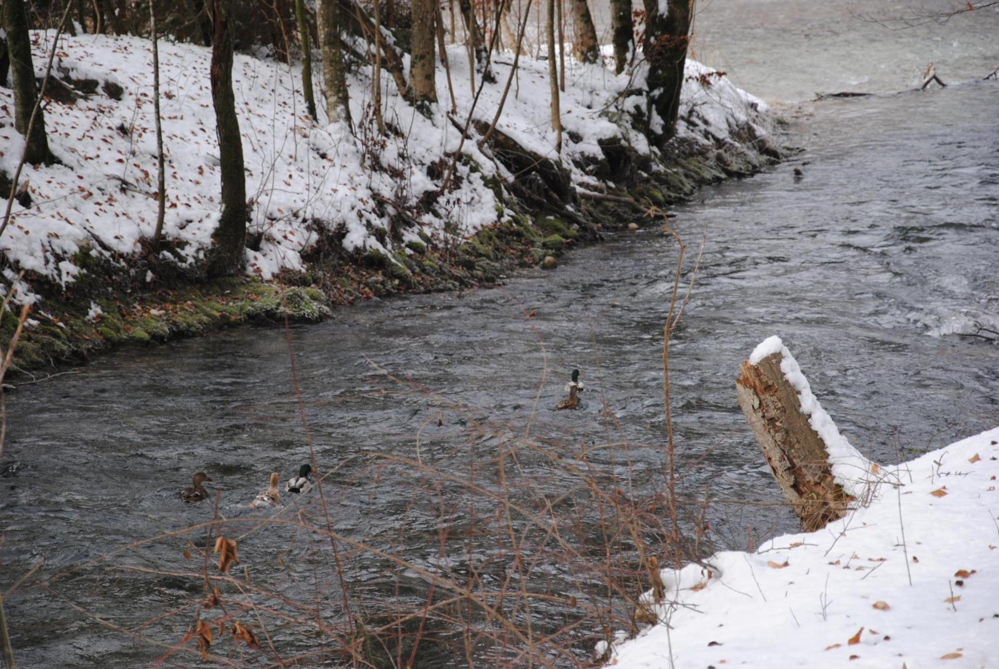 Gaestehaus Schroeder Ruhpolding Zewnętrze zdjęcie