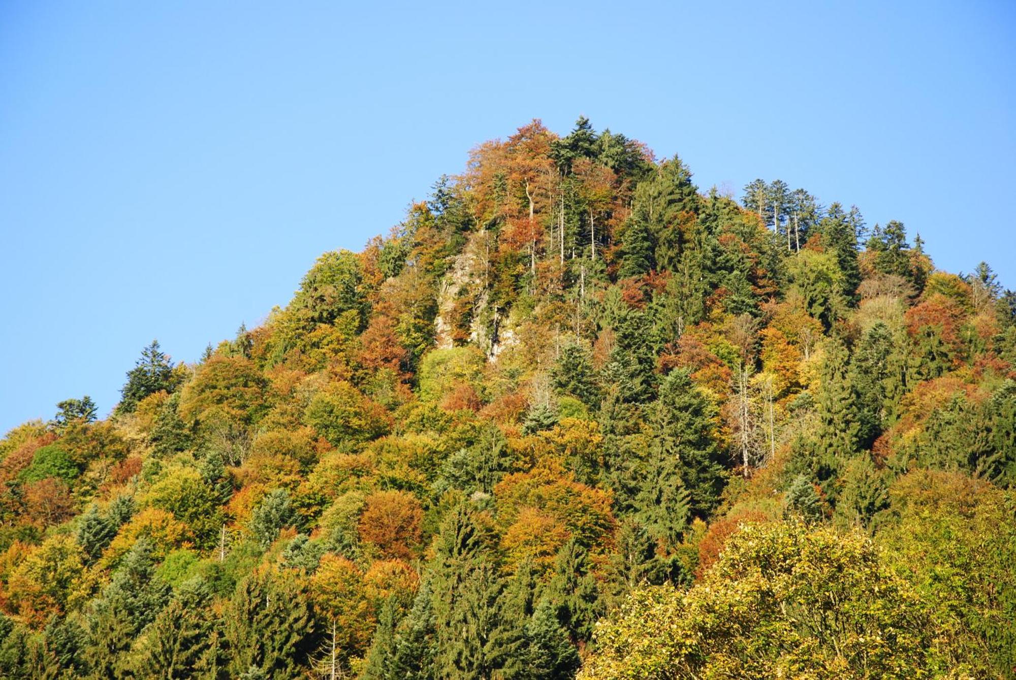 Gaestehaus Schroeder Ruhpolding Zewnętrze zdjęcie